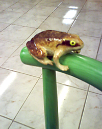 DSC00040