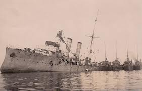 Albatross1