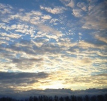 Vinter1
